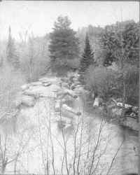 logsOnPilgrimRiver.jpg (42203 bytes)